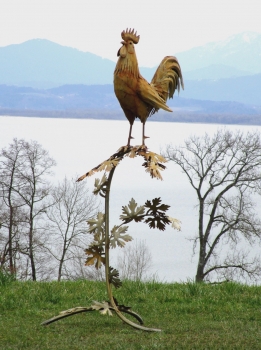 Cock on branch